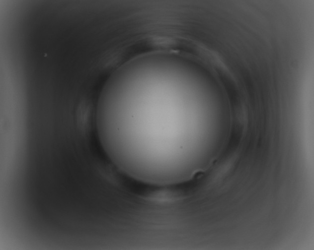 X0000101420364200807071321