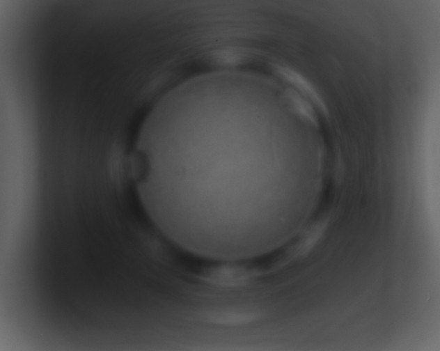 X0000101420366200807071321