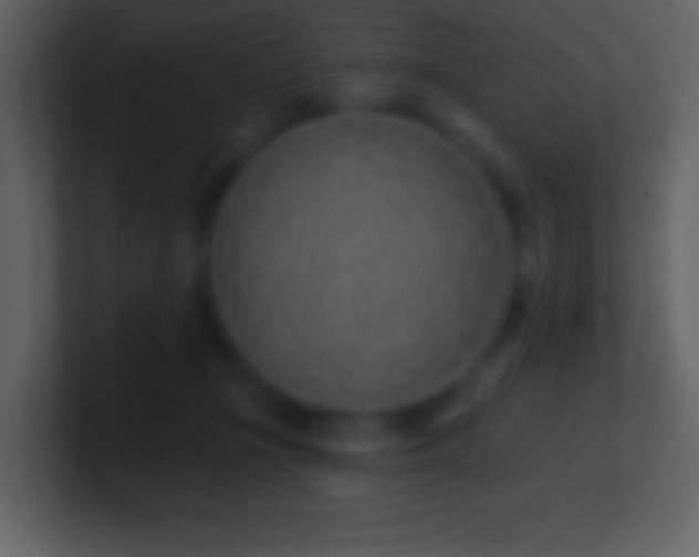 X0000101420367200807071321