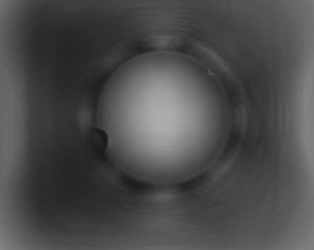 X0000101420368200807071321
