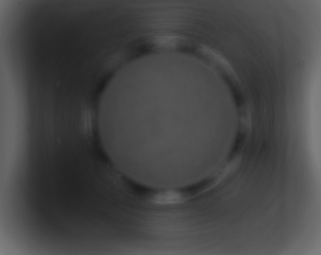 X0000101420369200807071321