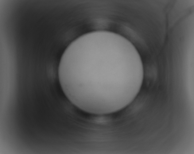 X0000101420370200807071321