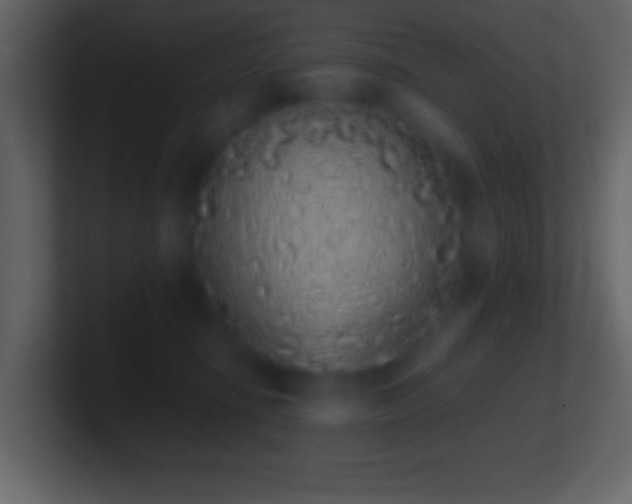 X0000101420371200807071321