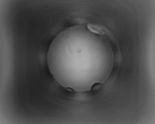 X0000101420376200807071321