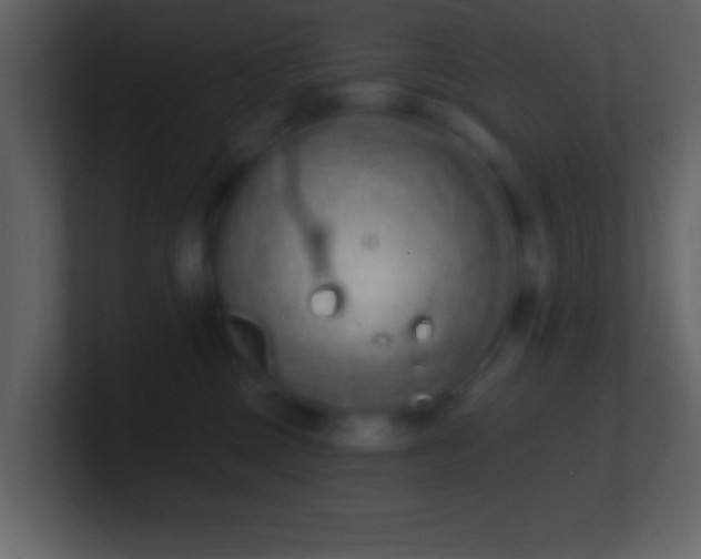 X0000101420377200807071321