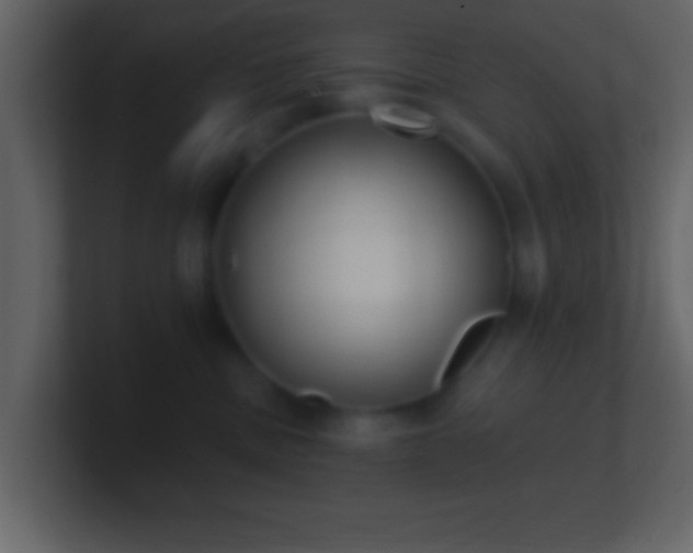 X0000101420379200807071321