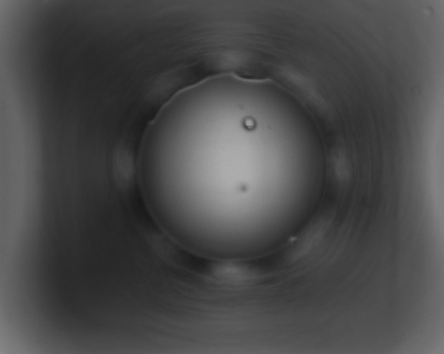 X0000101420380200807071321