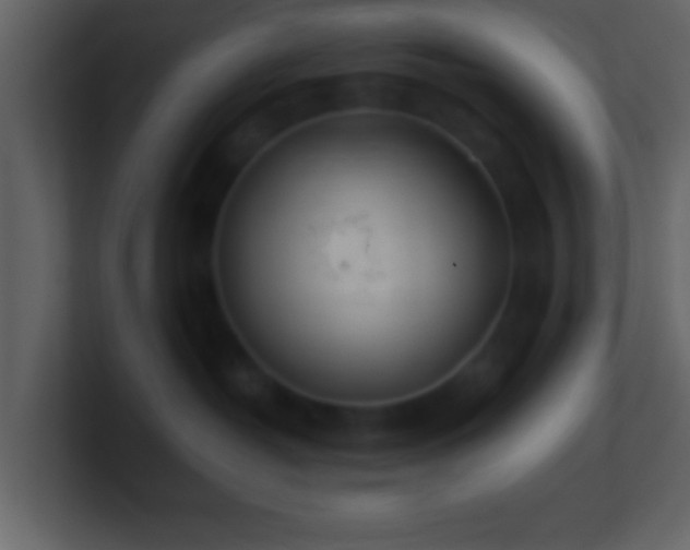 X0000101420382200807071321