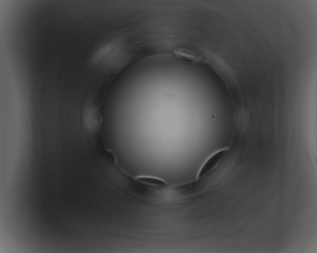X0000101420383200807071321