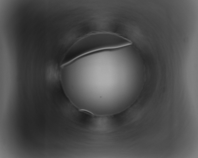 X0000101420384200807071321