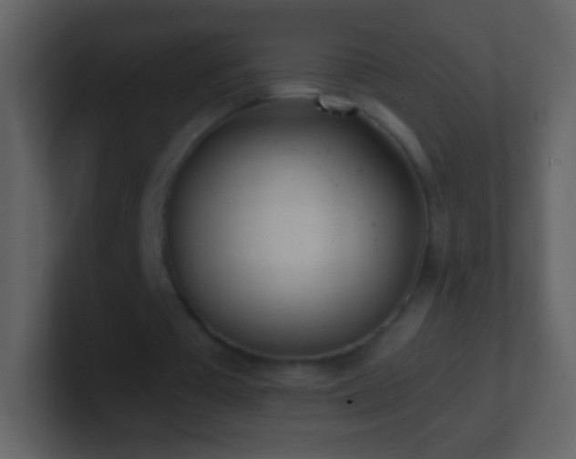 X0000101420385200807071320