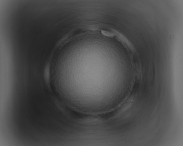 X0000101420386200807071320