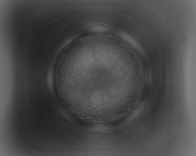 X0000101420390200807071320