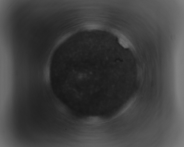 X0000101420391200807071320