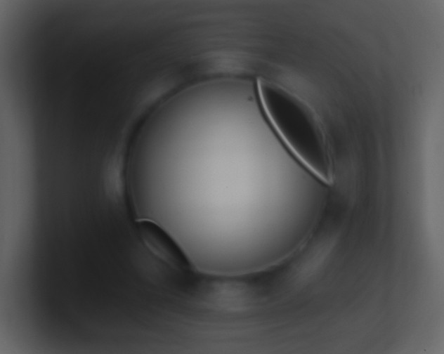 X0000101420395200807071320