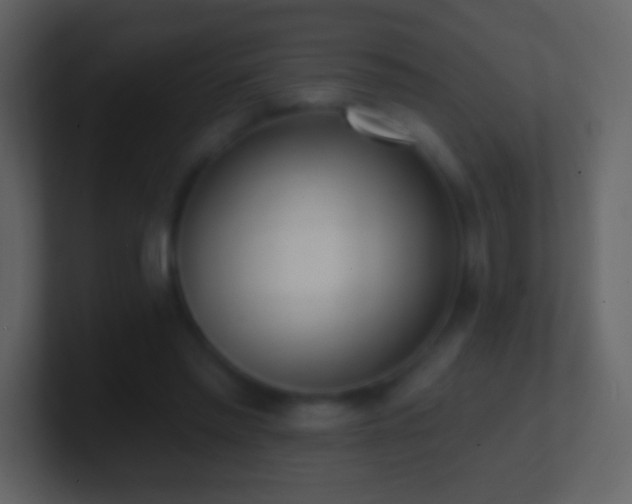 X0000101420397200807071320