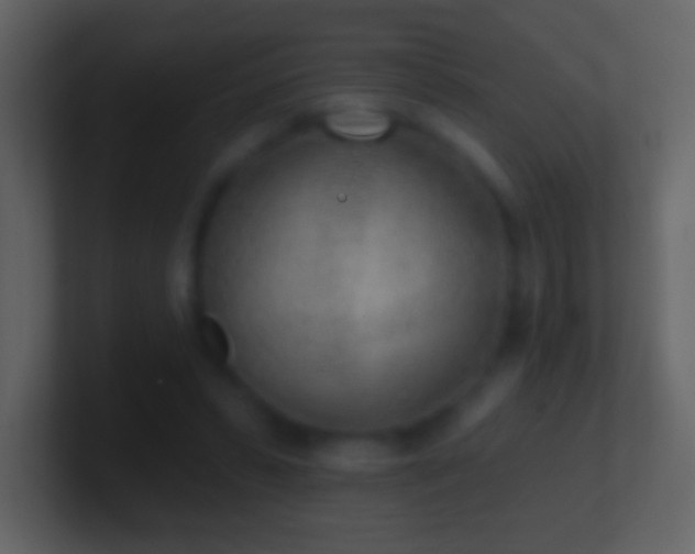 X0000101420399200807071320