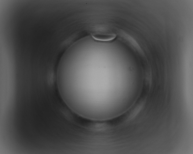 X0000101420401200807071320