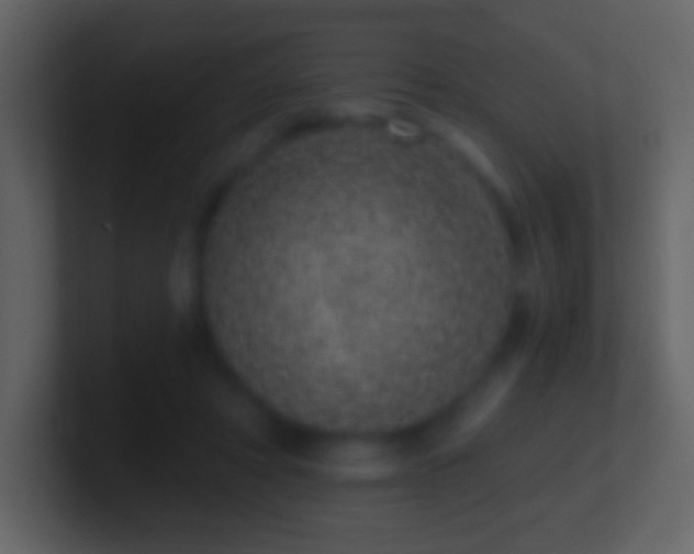 X0000101420402200807071320