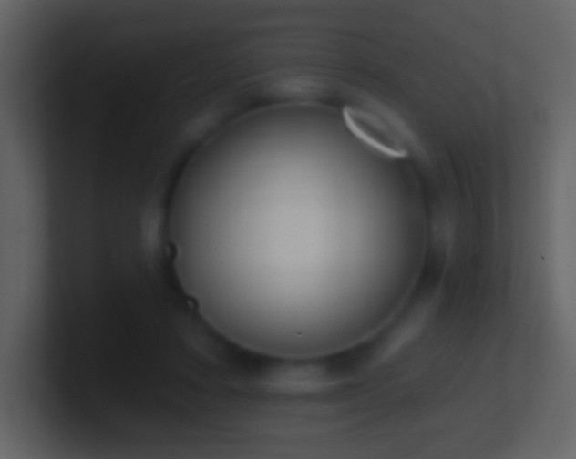 X0000101420403200807071320