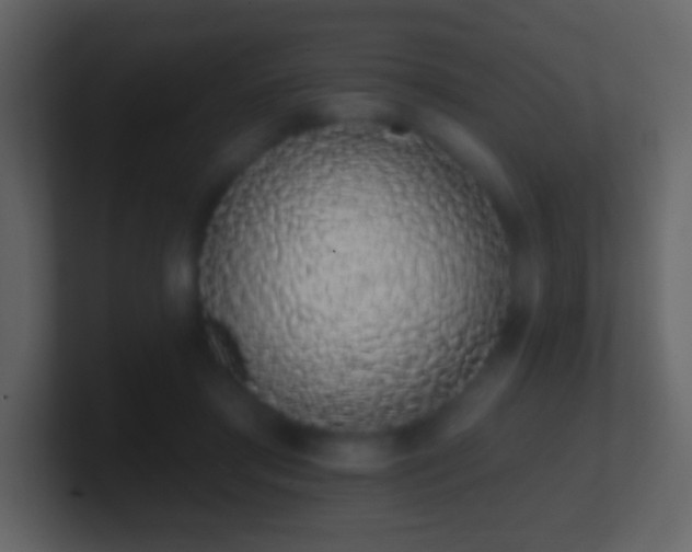 X0000101420405200807071320