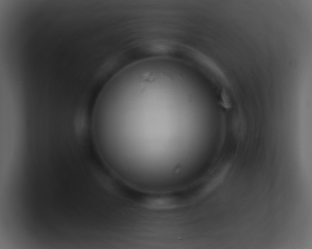 X0000101420407200807071320