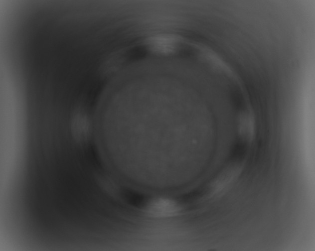 X0000101420409200807071320