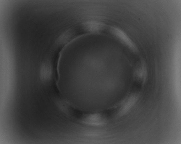 X0000101420411200807071320