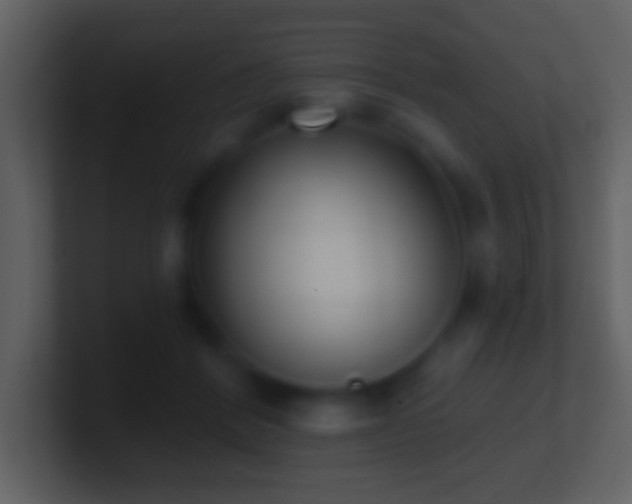 X0000101420412200807071320