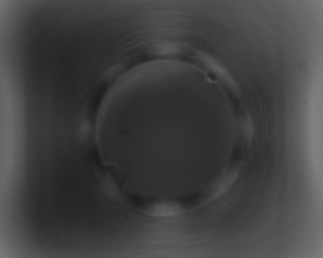 X0000101420415200807071320