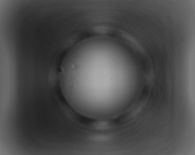 X0000101420418200807071320