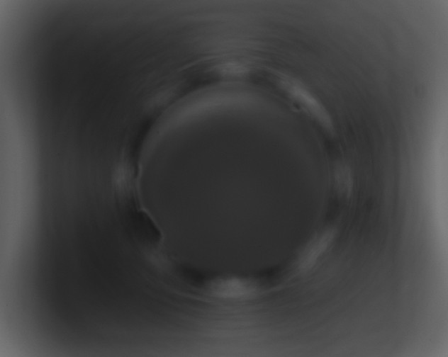 X0000101420419200807071320