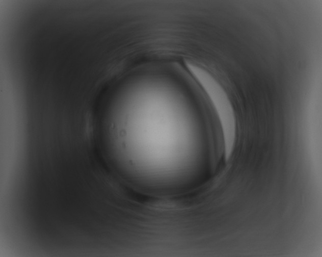 X0000101420423200807071320