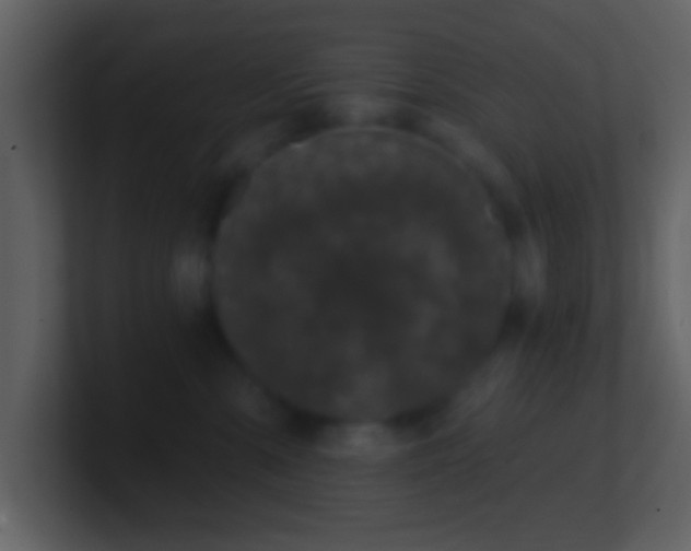 X0000101420427200807071320