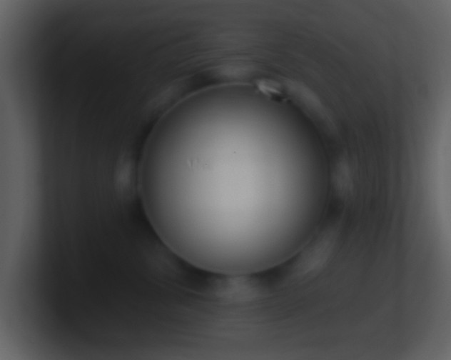 X0000101420428200807071320