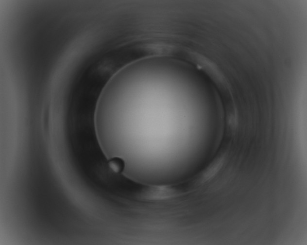 X0000101420429200807071320