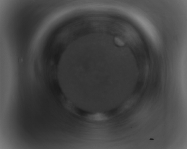 X0000101420431200807071320