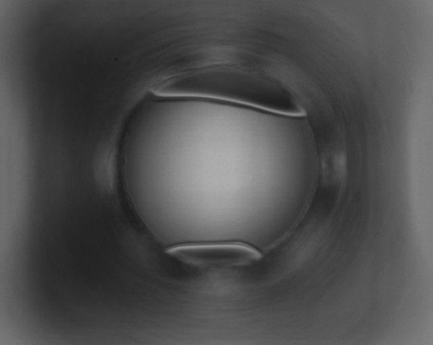 X0000101420436200807071319