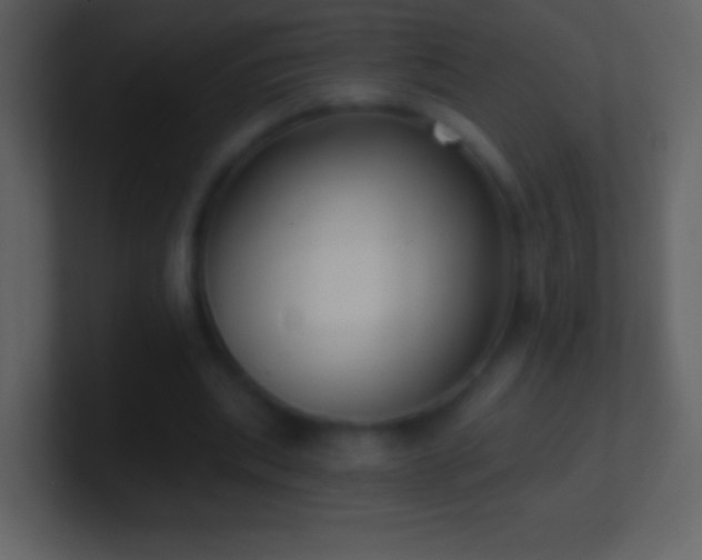 X0000101420439200807071319