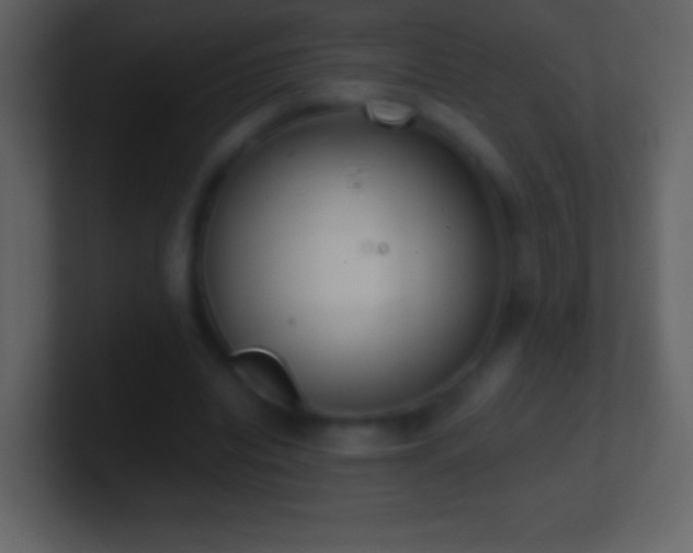 X0000101420440200807071319