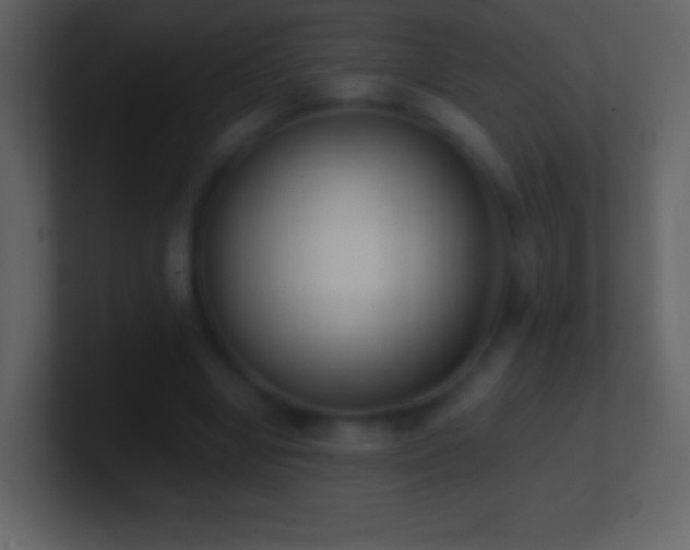 X0000101420442200807071319