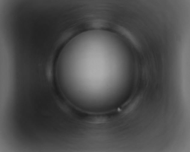 X0000101420443200807071319