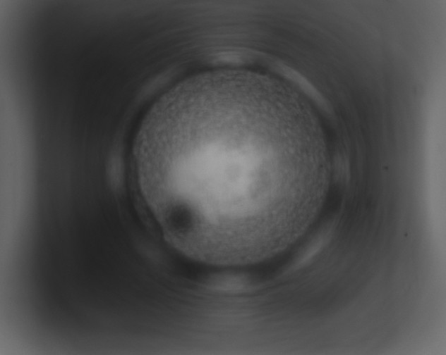 X0000101420444200807071319