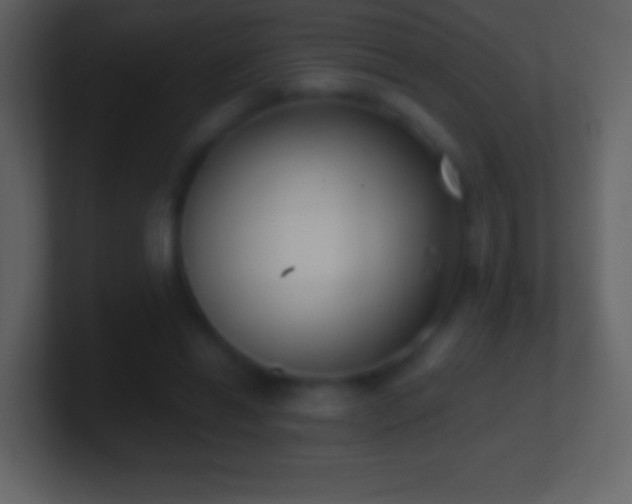 X0000101420446200807071319