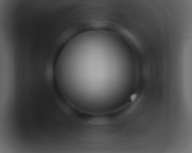 X0000101420447200807071319