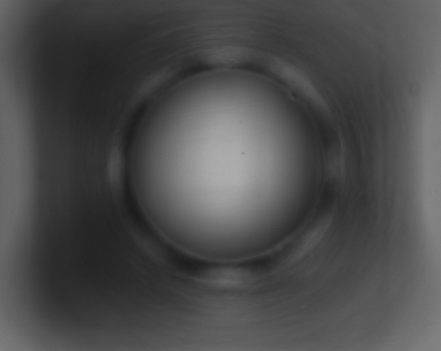 X0000101420448200807071319