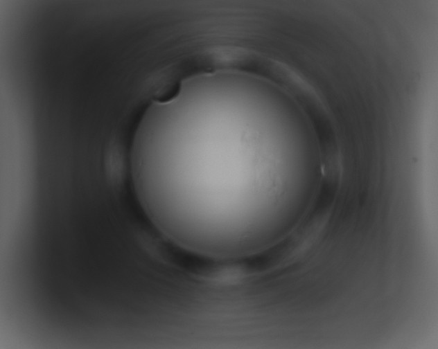 X0000101420456200807071319