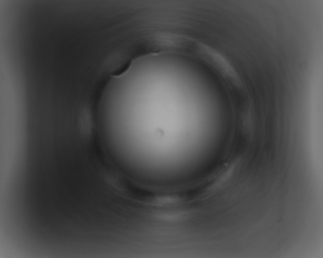 X0000101420457200807071319