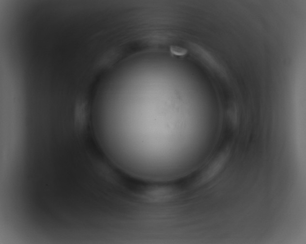 X0000101420458200807071319