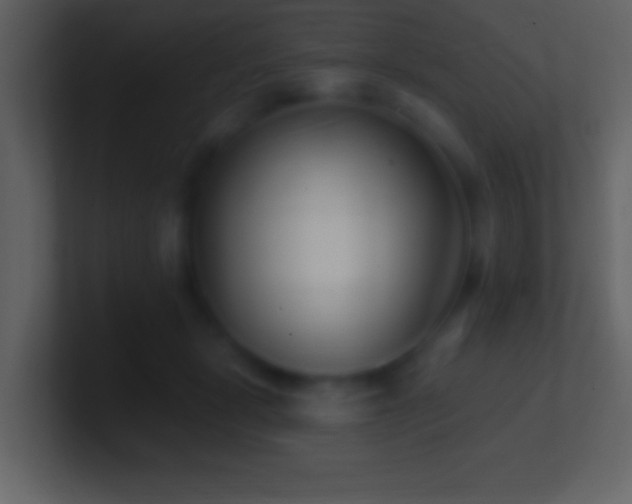 X0000101420461200807071319